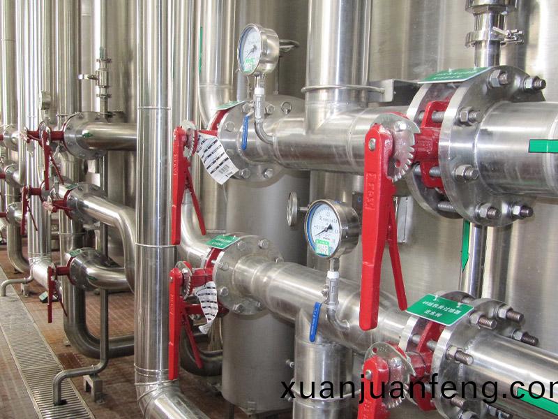 飲料廠(chang)20m3ph純水(shui)係(xi)統(tong)