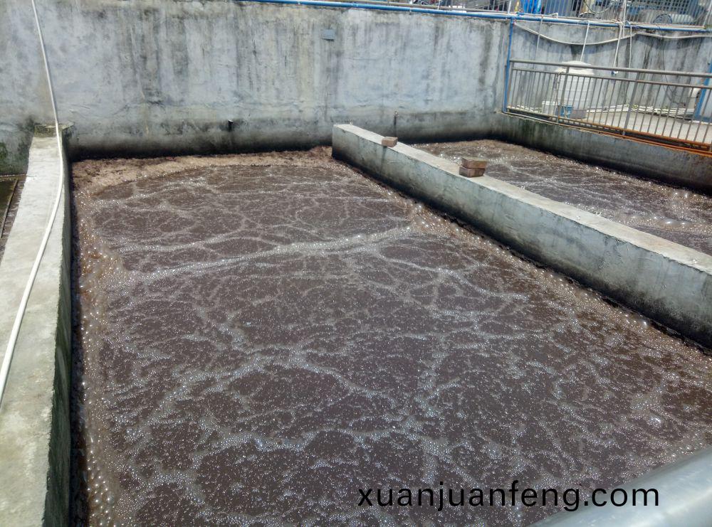 廣(guang)州(zhou)某(mou)某生(sheng)物(wu)製(zhi)藥(yao)廢水