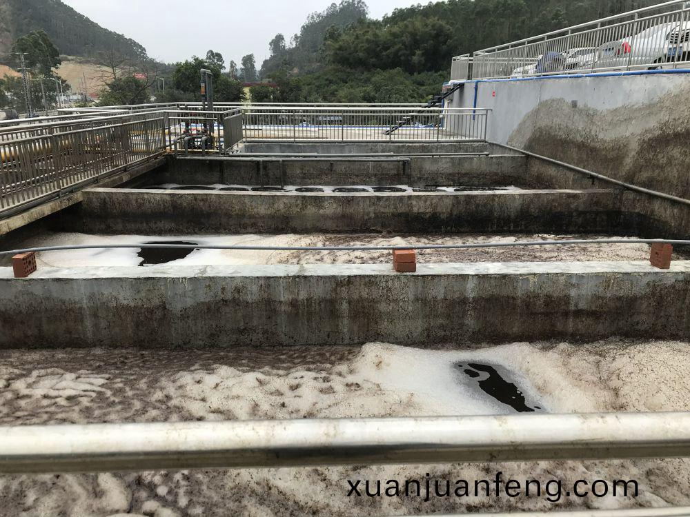 某某屠(tu)宰場(chang)項(xiang)目——500t屠宰廢水(shui)處(chu)理(li)係(xi)統(tong)