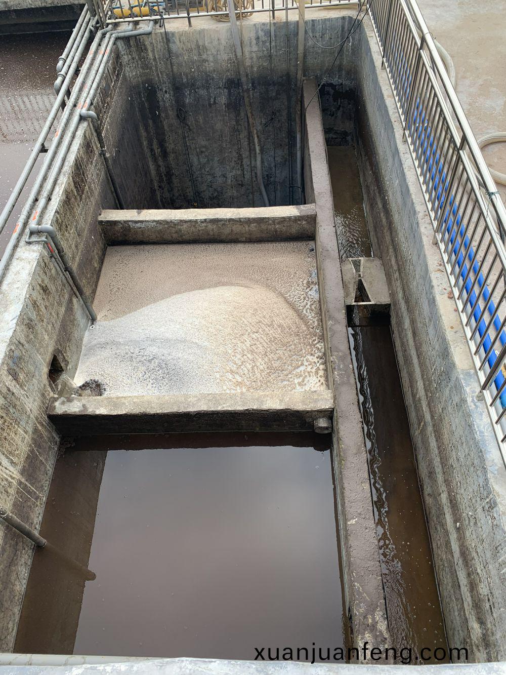 某(mou)某屠(tu)宰場項目(mu)——500t屠宰廢(fei)水(shui)處理(li)係(xi)統(tong)