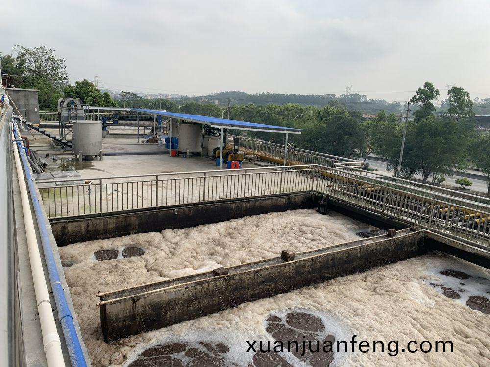 某(mou)某屠(tu)宰場項(xiang)目——500t屠宰(zai)廢(fei)水處(chu)理(li)係統(tong)