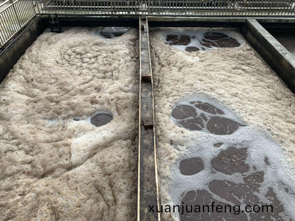 某某屠(tu)宰場項目(mu)——500t屠宰(zai)廢(fei)水(shui)處理(li)係統