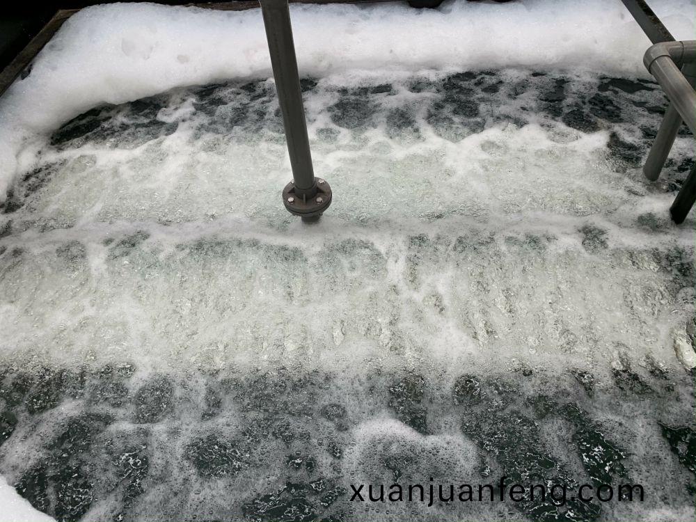 某某(mou)印(yin)染1000噸(dun)