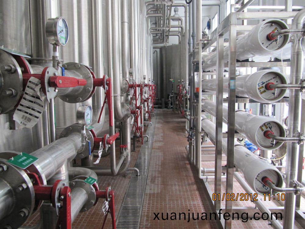 飲料(liao)廠20m3ph純水(shui)係統
